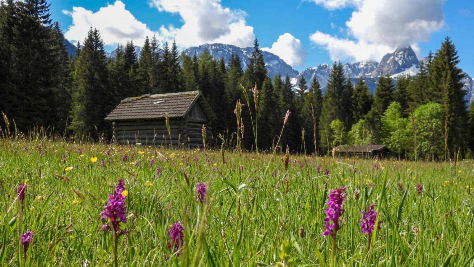 Haus An Der Sonne Fewo 2 Бібервір Екстер'єр фото